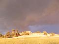 SAM_3750