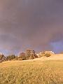 SAM_3756