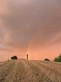 SAM_3784