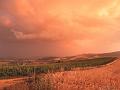 SAM_3818