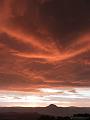 SAM_3839