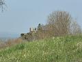 SAM_0264