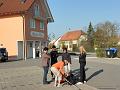 SAM_0167