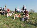 SAM_0251